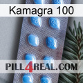 Kamagra 100 viagra3